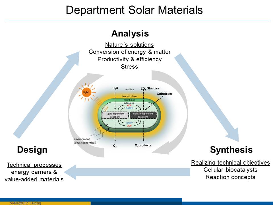 Department Solare Materialien Department Solare Materialien